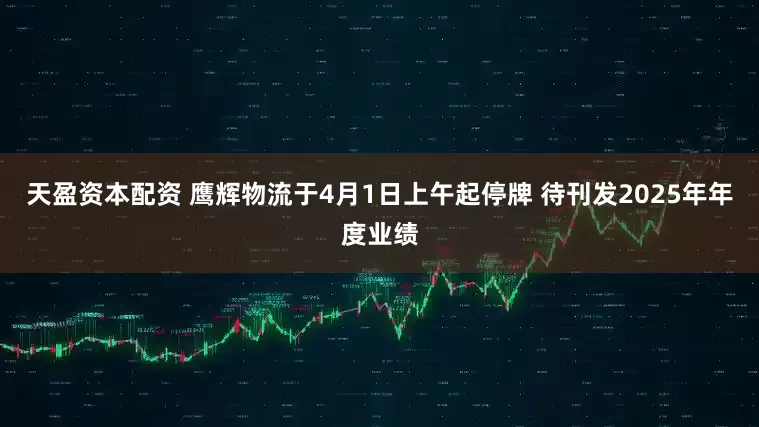 天盈资本配资 鹰辉物流于4月1日上午起停牌 待刊发2025年年度业绩