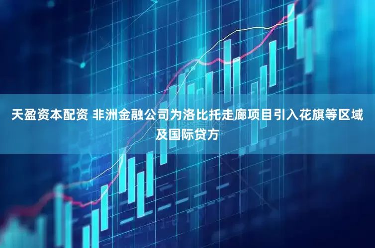 天盈资本配资 非洲金融公司为洛比托走廊项目引入花旗等区域及国际贷方